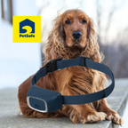 PetSafe
