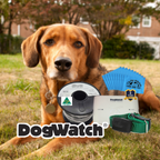 DogWatch