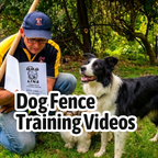 Dog Fence Training
                                                                Videos