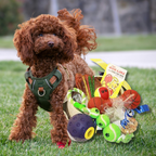 Dog Hampers