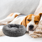 Dog Pillows