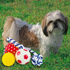 Dog Toys