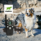 DogWatch