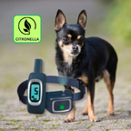 Spray Dog Trainer